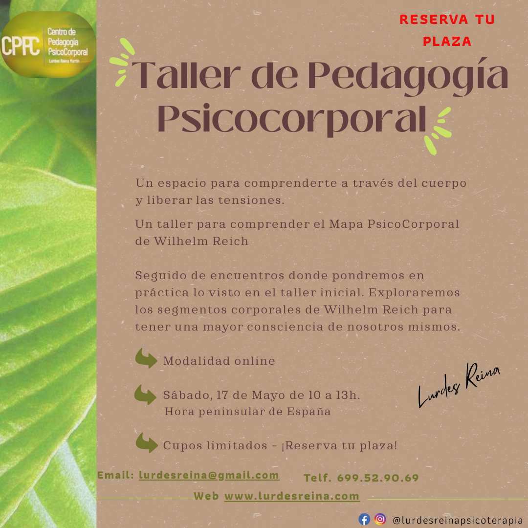 Lurdes Reina Psicoterapia